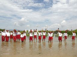 Tegakkan Prinsip Operasional yang Berkelanjutan, PLN Restorasi 308 Hektar Lahan Tandus Jadi Paru-Par