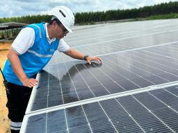 PLTS Tahap 1 Kapasitas 10 MW Sukses Dioperasikan, PLN Tunjukkan IKN Dilayani Energi Bersih