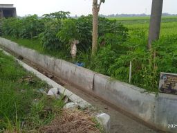 Infrastruktur Pembangunan Desa Bongkot kecamatan Peterongan Dorong Produktivitas Pertanian