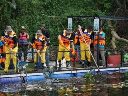Peringati Hari Lingkungan Hidup Sedunia, PLN Gelar Aksi Bersih dan Olah Sampah di 54 Lokasi Se-Indonesia