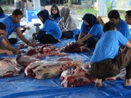 “Memperingati Hari Raya Idul Adha 1445 H, PT PLN (Persero) UIP JBTB Gelar Penyembelihan dan Penyalur