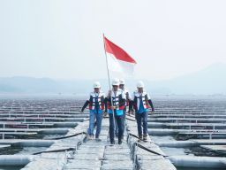 Komitmen Transisi Energi, PLN Raih Anugerah Ekonomi Hijau untuk Infrastruktur EBT Ramah Lingkungan