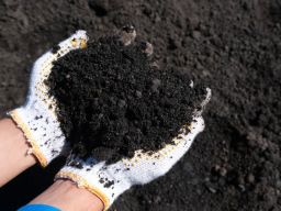 Sepanjang Semester I 2024, PLN Sukses Manfaatkan Hampir 1,5 Juta Ton FABA PLTU