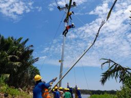 Jelang HUT RI, 13 Desa di Kabupaten Sintang Kini Terang dengan Listrik PLN