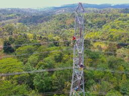 Nataru: Sistem Kelistrikan Sumsel Diperkuat, PLN Selesaikan SUTT 150 kV Lubuk Linggau-Tebing Tinggi