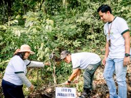 Sambut Tahun Baru, PLN Tanam 1.000 Pohon dan Lakukan Beragam Aksi Sosial