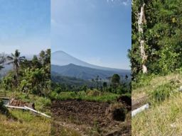 Sambut Tahun Baru TJSL PLN UIP JBTB Berhasil Wujudkan Program Air Irigasi Bagi Petani Desa Tista, Karangasem