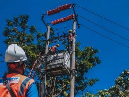 Momen Nataru, Tarif Listrik TW I 2025 Tetap, PLN Pastikan Keandalan Listrik bagi Masyarakat Jadi Prioritas Utama