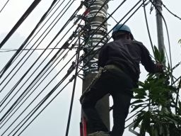 Laksanakan Penataan dan Pendataan Kabel Ilegal di Tiang PLN Sidoarjo, PLN Icon Plus Konsisten Jaga Keandalan Jaringan