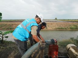 Momen Tahun Baru PLN Dukung Tranformasi Pertanian Modern, Electrifying Agriculture Raih 53.539 Pelanggan Baru di 2024
