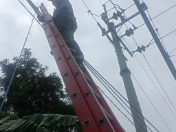 Langkah Proaktif PLN Icon Plus Tertibkan Kabel Ilegal di Tiang PLN Kota Surabaya Guna Estetika dan Keandalan Jaringan