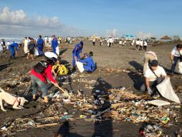 Hari Lingkungan Hidup Sedunia 2025: PLN Gerak Serentak Bersihkan Sampah di 56 Lokasi Se-Indonesia