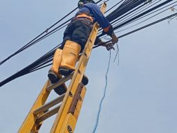 Sinergi PLN Icon Plus-Pemkot Surabaya Tertibkan Kabel Udara demi Keandalan Infrastruktur dan Estetika