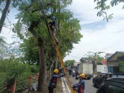 Terus Berkomitmen Wujudkan Layanan Andal, PLN Icon Plus Bersama Pemkot Surabaya Tata Ulang Infrastruktur Digital Kota