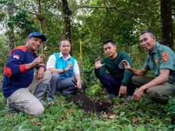 Peringati Hari Lingkungan Hidup Sedunia, PLN Icon Plus Jatim Gelar Reforestasi di Kaki Gunung Arjuno–Welirang