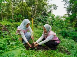 Srikandi PLN Icon Plus Jatim Peduli Lingkungan, Tanam 200 Bibit Pohon di Kaki Gunung Arjuno-Welirang