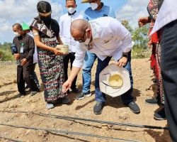 Gencarkan Sektor Pertanian ke Milenial, LaNyalla Minta Internet of Things Dimaksimalkan