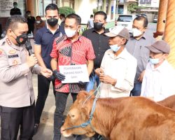 Curi 13 Ekor Sapi, 5 Orang Sindikat Pecurian Sapi di Banyuwangi Diciduk Polisi