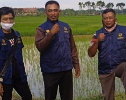 Sosok Hadi sp, Dari Seorang Kontraktor Banting Setir Jadi Seorang Petani