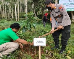 Peringati Hari Lingkungan Hidup, Forkopimda Tulungagung Tanam 25 Ribu Pohon