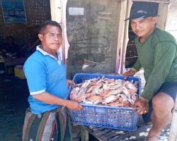 Harga Rajungan Anjlok, Nelayan Sarang Mengeluh