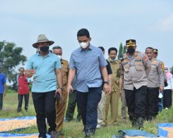 Kakorbinmas Studi Banding Tanam Jagung untuk Petani Papua
