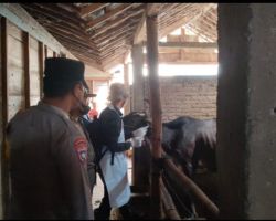 Polres Ngawi Bersama Dinas Perikanan dan Peternakan Gelar Vaksinasi Hewan Ternak Cegah PMK