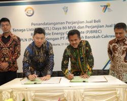 Dukung Hilirisasi Mineral, PLN Siap Pasok Listrik Hijau 80 MVA ke Smelter di Kalimantan
