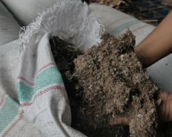 Kolaborasi Dukung Bisnis Berkelanjutan, PLN Serap Produk Olahan Sampah dari UMKM Untuk Bahan Cofiring PLTU Tarahan di Lampung