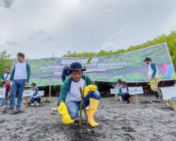 Wujudkan pembangunan berkelanjutan, PLN Tanam 5.000 Bibit Mangrove di KEE Teluk Panggang Jawa Timur