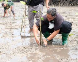 Berperan Aktif mendukung Pelestarian Lingkungan Hidup, PLN UIP JBTB Gandeng Taman Nasional Baluran Tanam 15.000 Pohon