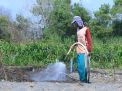 Program Electrifying Agriculture PLN Sukses Tekan Biaya Operasional Petani Bawang Merah Hingga 90 Persen