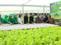 Tingkatkan Produksi Sayur, Dandim 0613/Ciamis Aplikasikan Bios-44 DC Pada Media Hidroponik
