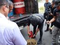 Polisi Kembali Ungkap Penyalahgunaan BBM Bersubsidi di Banyuwangi 5 Ton Solar Diamankan