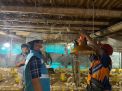 Pertanian Modern Berbasis Listrik Kian Berkembang, Program Electrifying Agriculture PLN Tumbuh 22,28 Persen