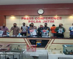 Polda Jatim Bongkar Praktik Jual Beli Satwa Dilindungi dan Amankan 304 Satwa