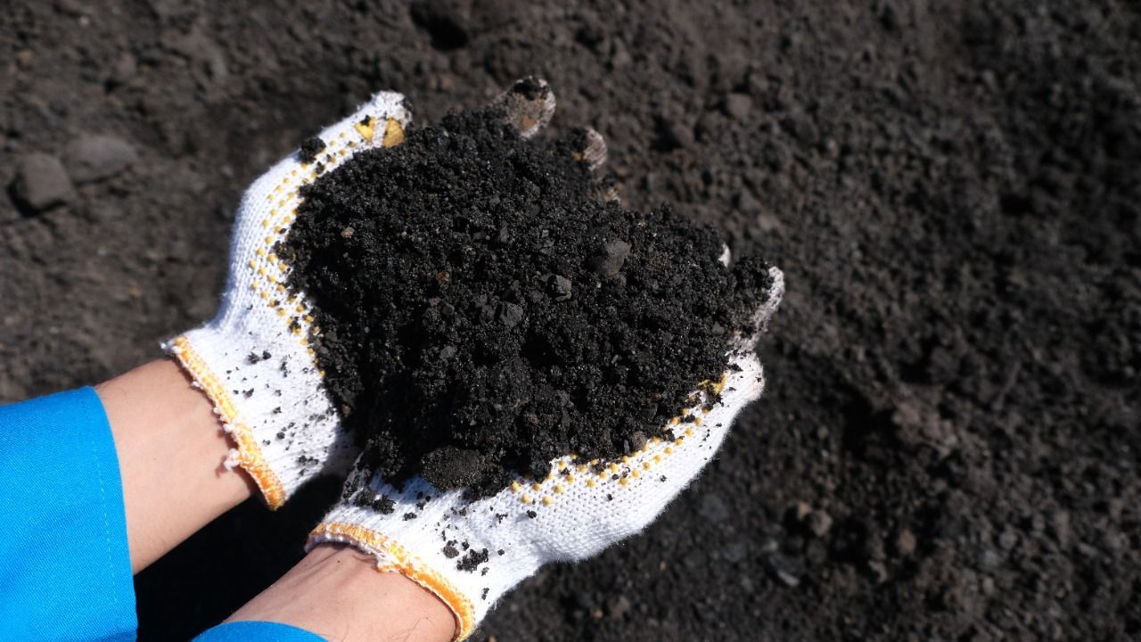 Sepanjang Semester I 2024, PLN Sukses Manfaatkan Hampir 1,5 Juta Ton FABA PLTU