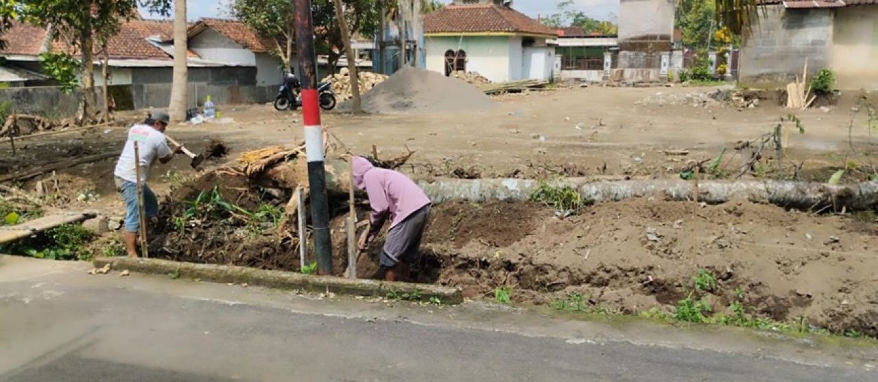 Dorong Ketahanan Pangan Berkelanjutan, PLN UIP JBTB Dukung Pertanian Modern di Boyolali Lewat Program Hidroponik Elektrifikasi “Listrik untuk Rakyat”