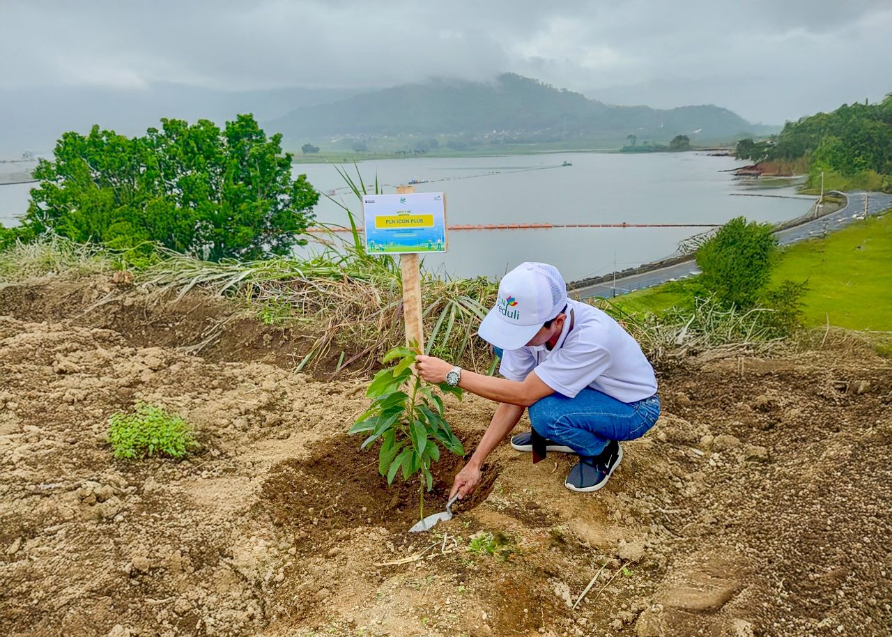 PLN Icon Plus dan PLN Grup Jawa Timur Tanam 10.000 Bibit Pohon di Bendungan Selorejo Peringati Hari Menanam Pohon Indonesia 2025