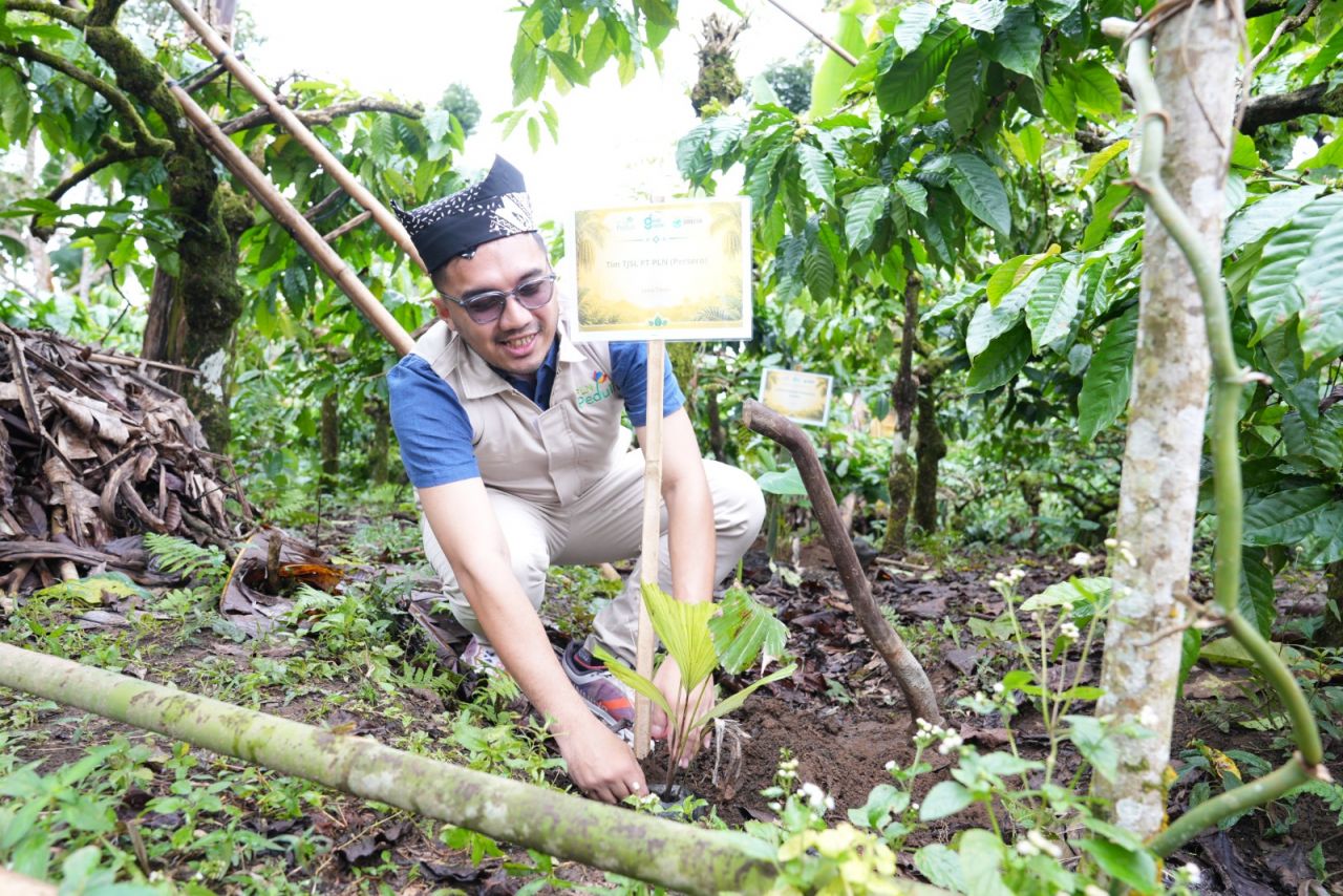Mitigasi Longsor dan Dorong Ekonomi Warga, PLN UIP JBTB Salurkan Bantuan Konservasi 4.000 Pohon Aren