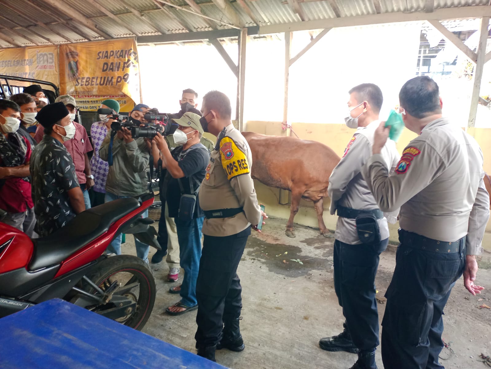 Viral ! Aksi Heroik Anggota Polsek Ranuyoso Lumajang Hadang Maling Sapi