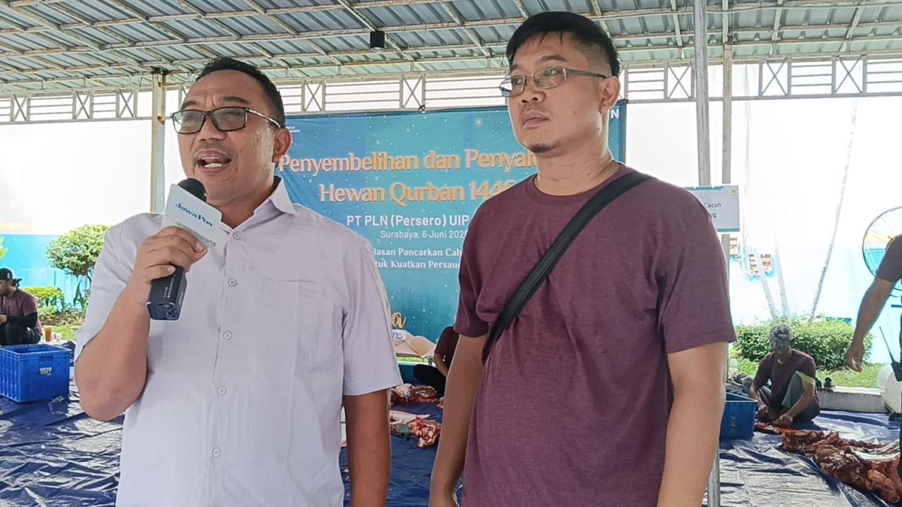 Allahu Akbar! PLN UIP JBTB Sembelih 12 Hewan Kurban, Teguhkan Semangat Kepedulian dan Persaudaraan